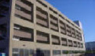 Parking Garage pigeons
