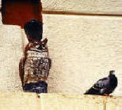 Plastic owl with pigeons on it