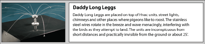 Daddy long leggs bird control