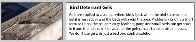 Pigeon bird control deterrant gells