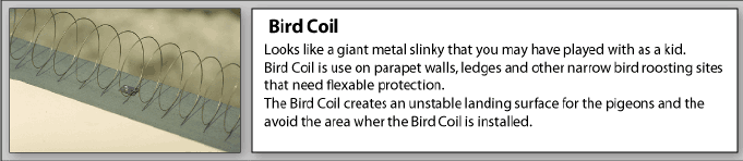 Bird coil protects ledges