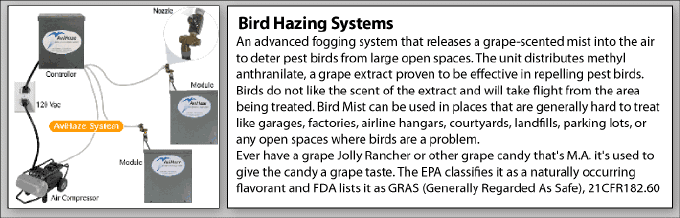 Bird pigeon control hazing systems in Arizona