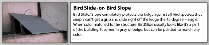 Bird slide is a very effective product
