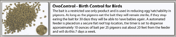 Ovocontrol P Birth control for pigeons