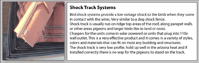 Pigeon control shock track is very effective