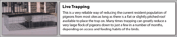 Trapping is effective at reducing the population