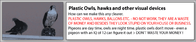 Plastic owls do not work