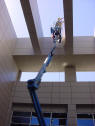 Courtyard netting