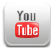 Check out our Birds & Bees videos